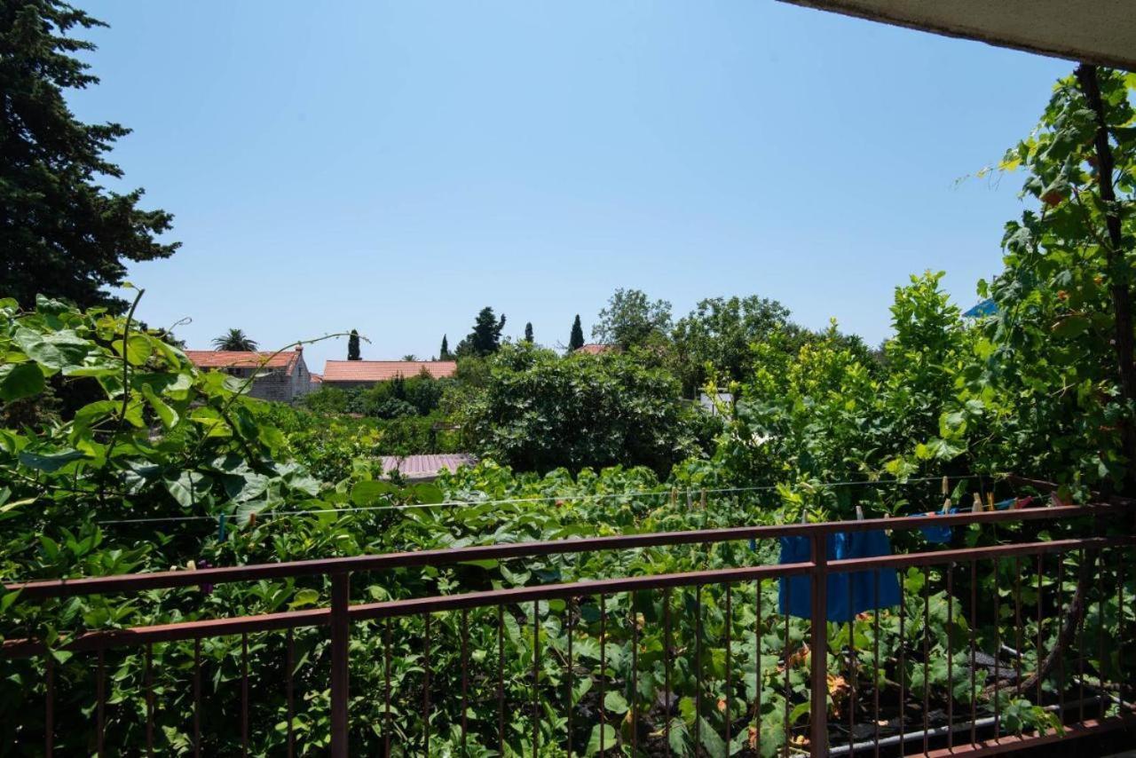 Apartments Ljiljana Orebić Kültér fotó